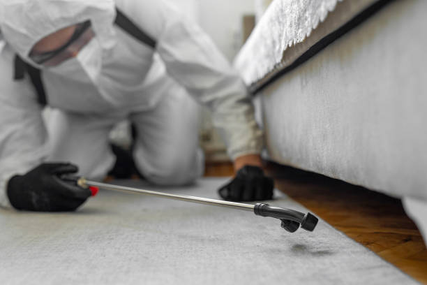 Professional Bed Bug Control technician working in Nassau County County, NY